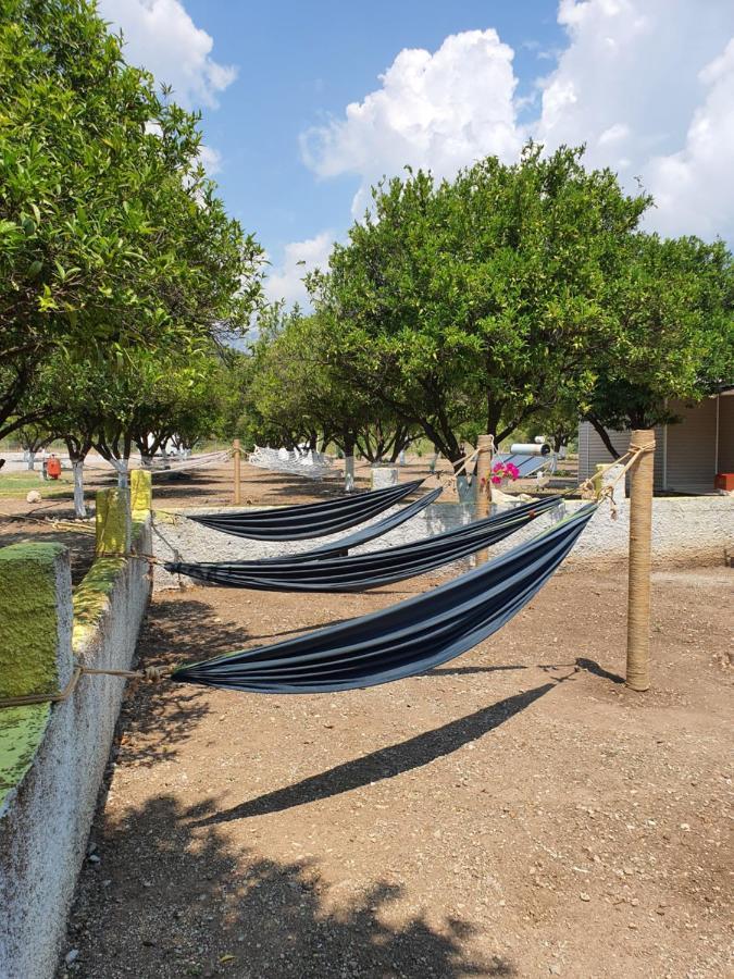 Orange Beach Camp ベルディビ エクステリア 写真